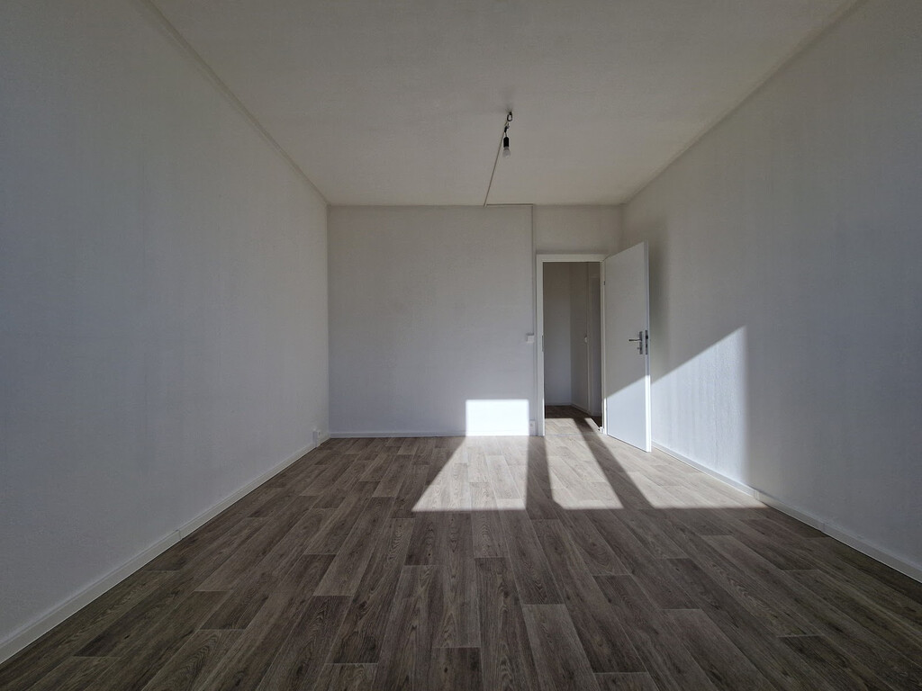 Am Bruchsee 12, 06122 Halle (Saale)