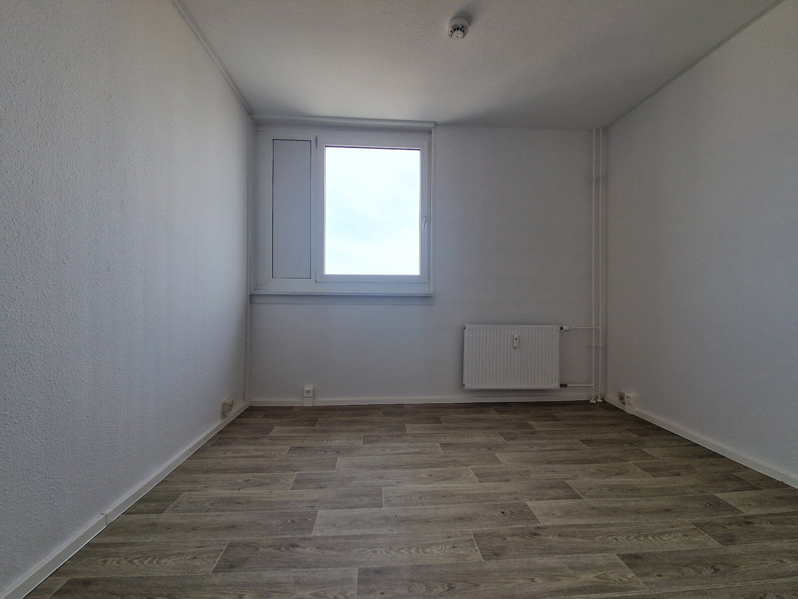 Am Bruchsee 12, 06122 Halle (Saale)