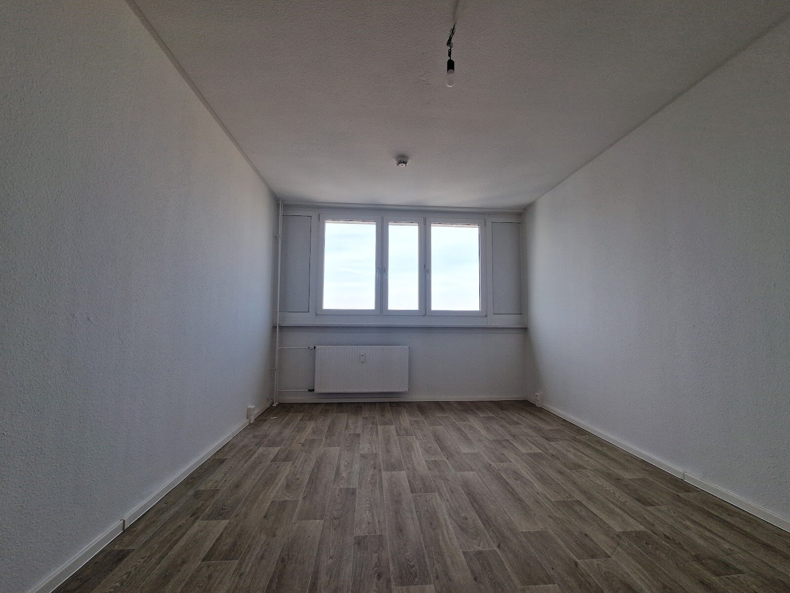 Am Bruchsee 12, 06122 Halle (Saale)