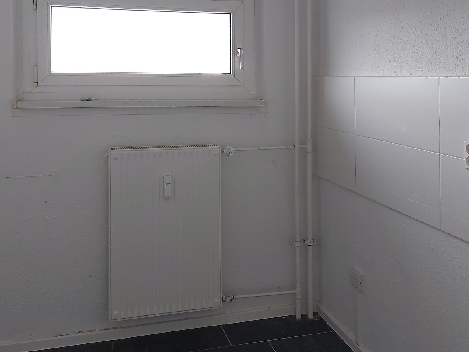 Am Bruchsee 12, 06122 Halle (Saale)