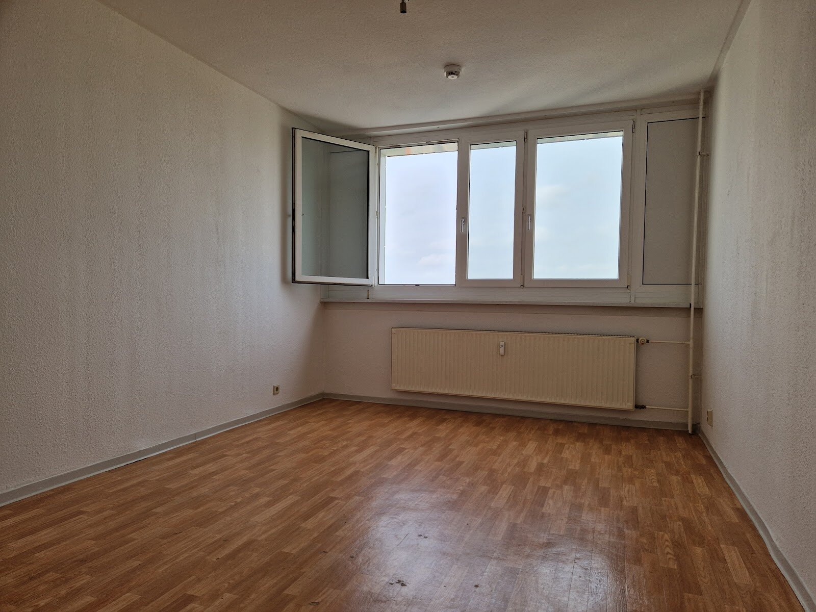 Am Bruchsee 12, 06122 Halle (Saale)