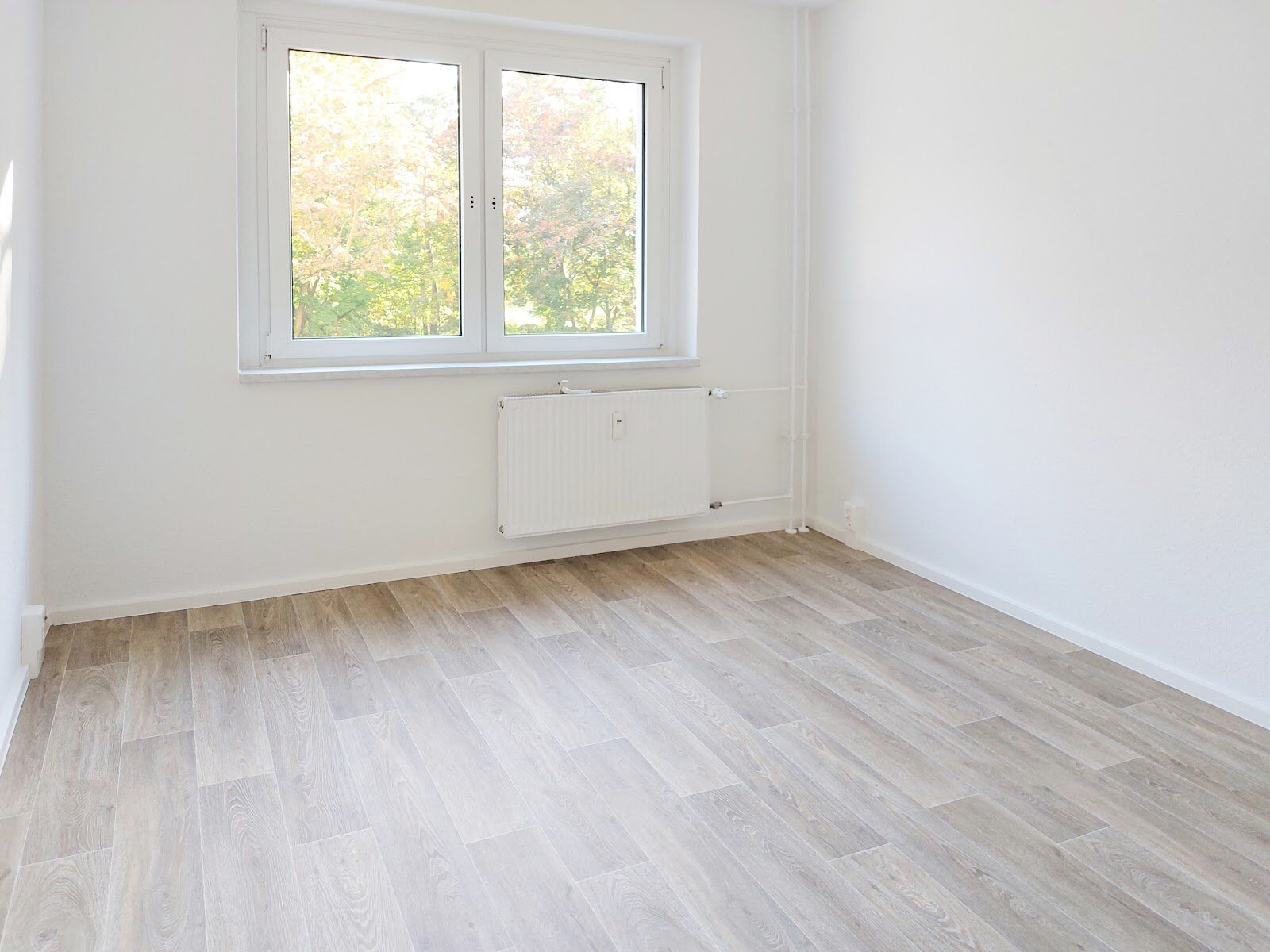 Zerbster Straße 29, 06124 Halle (Saale)