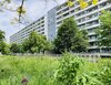 Zerbster Straße 29, 06124 Halle (Saale)