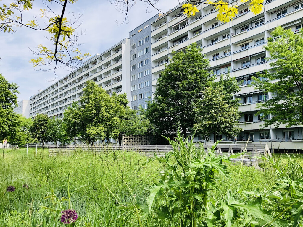 Zerbster Straße 29, 06124 Halle (Saale)