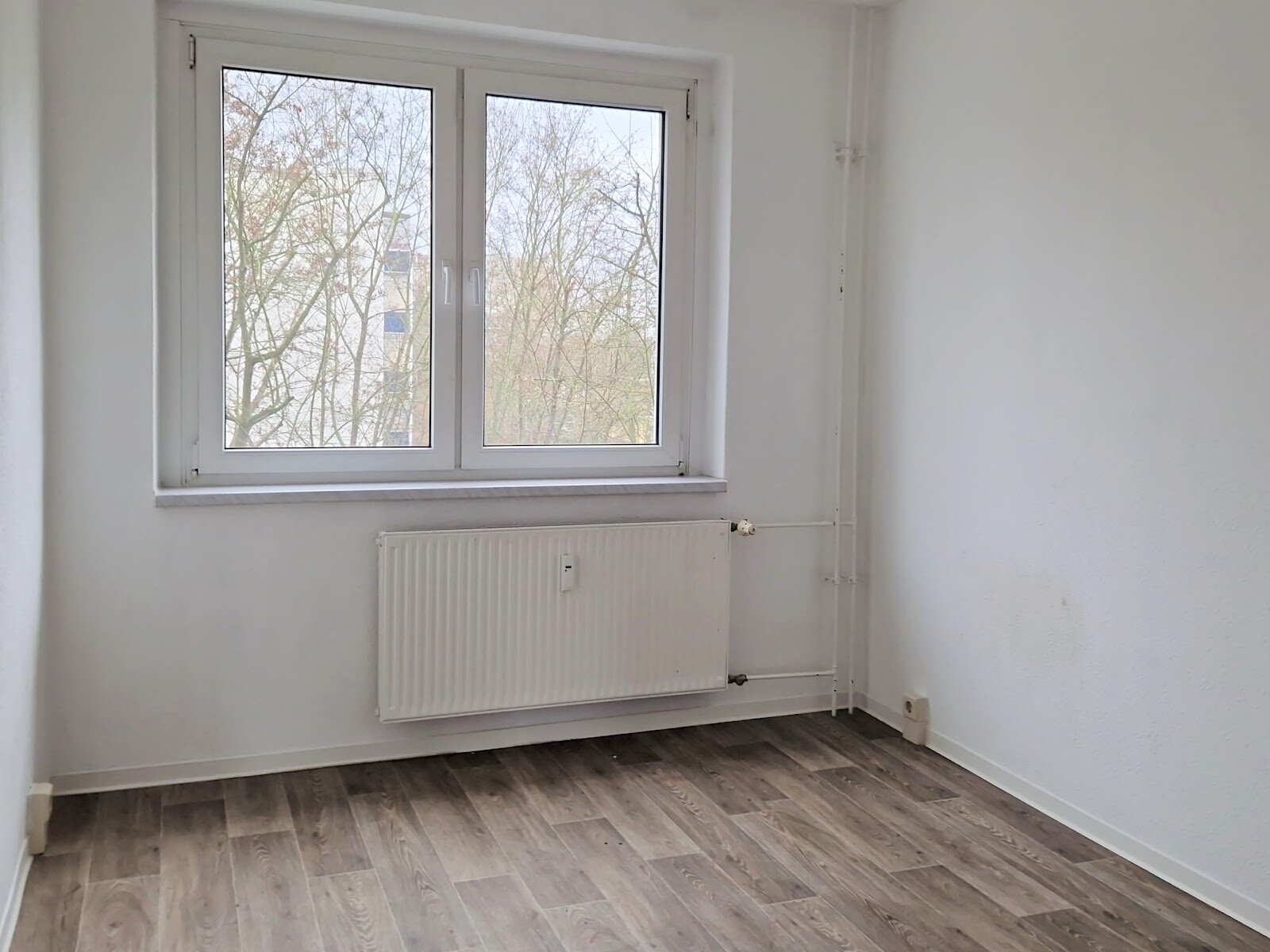 Zerbster Straße 29, 06124 Halle (Saale)