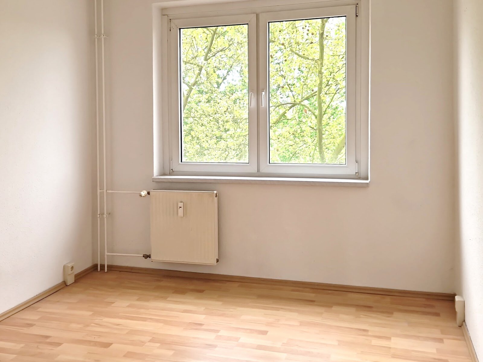 Zerbster Straße 29, 06124 Halle (Saale)