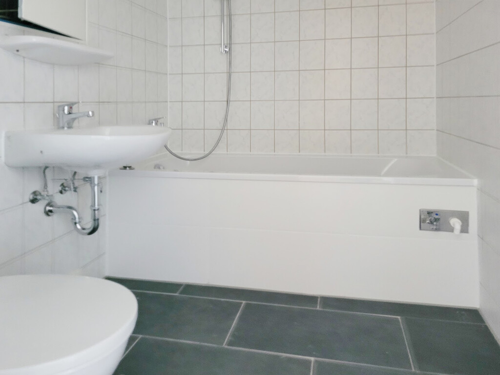 Zerbster Straße 31, 06124 Halle (Saale)