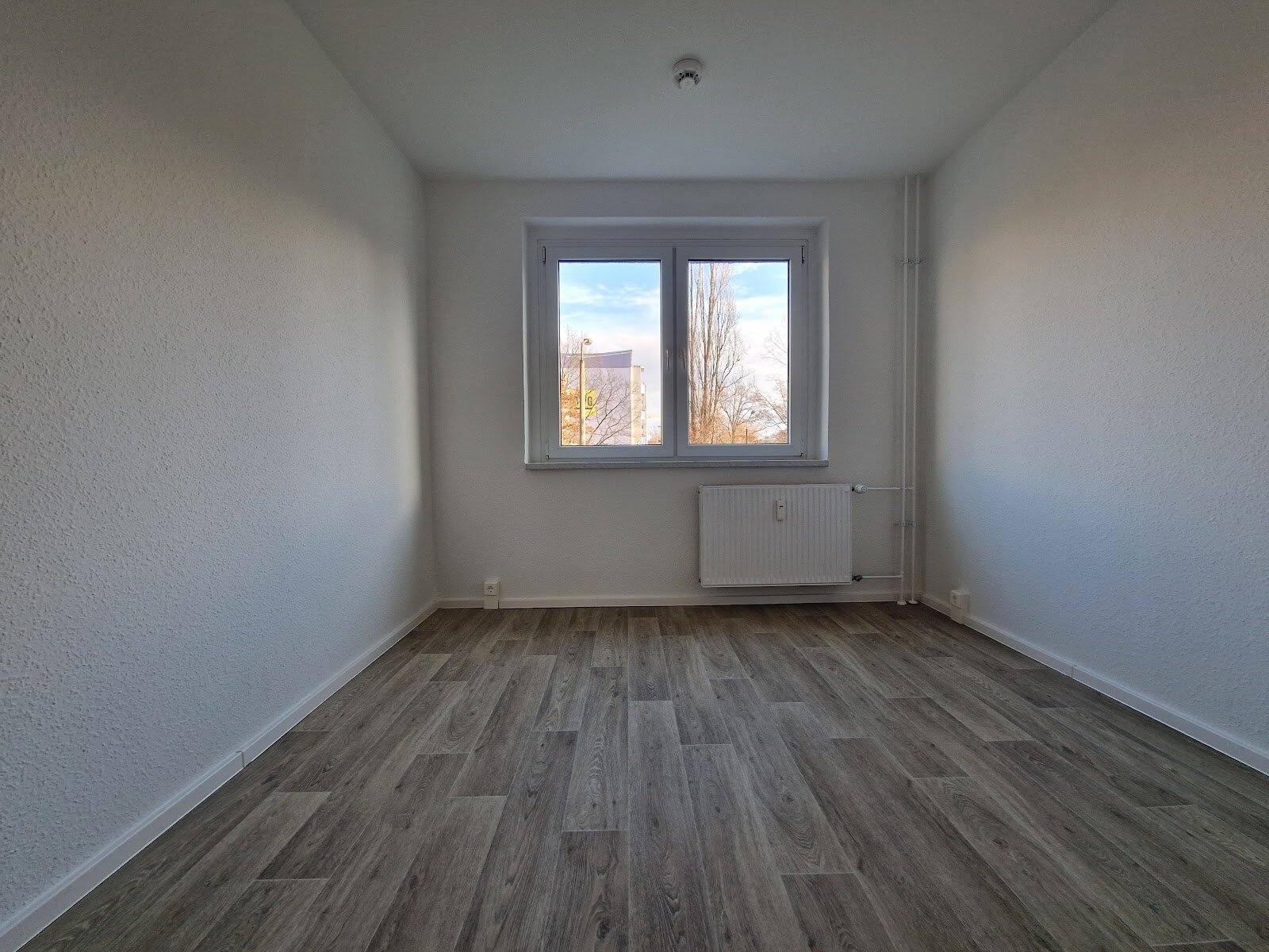 Zerbster Straße 31, 06124 Halle (Saale)