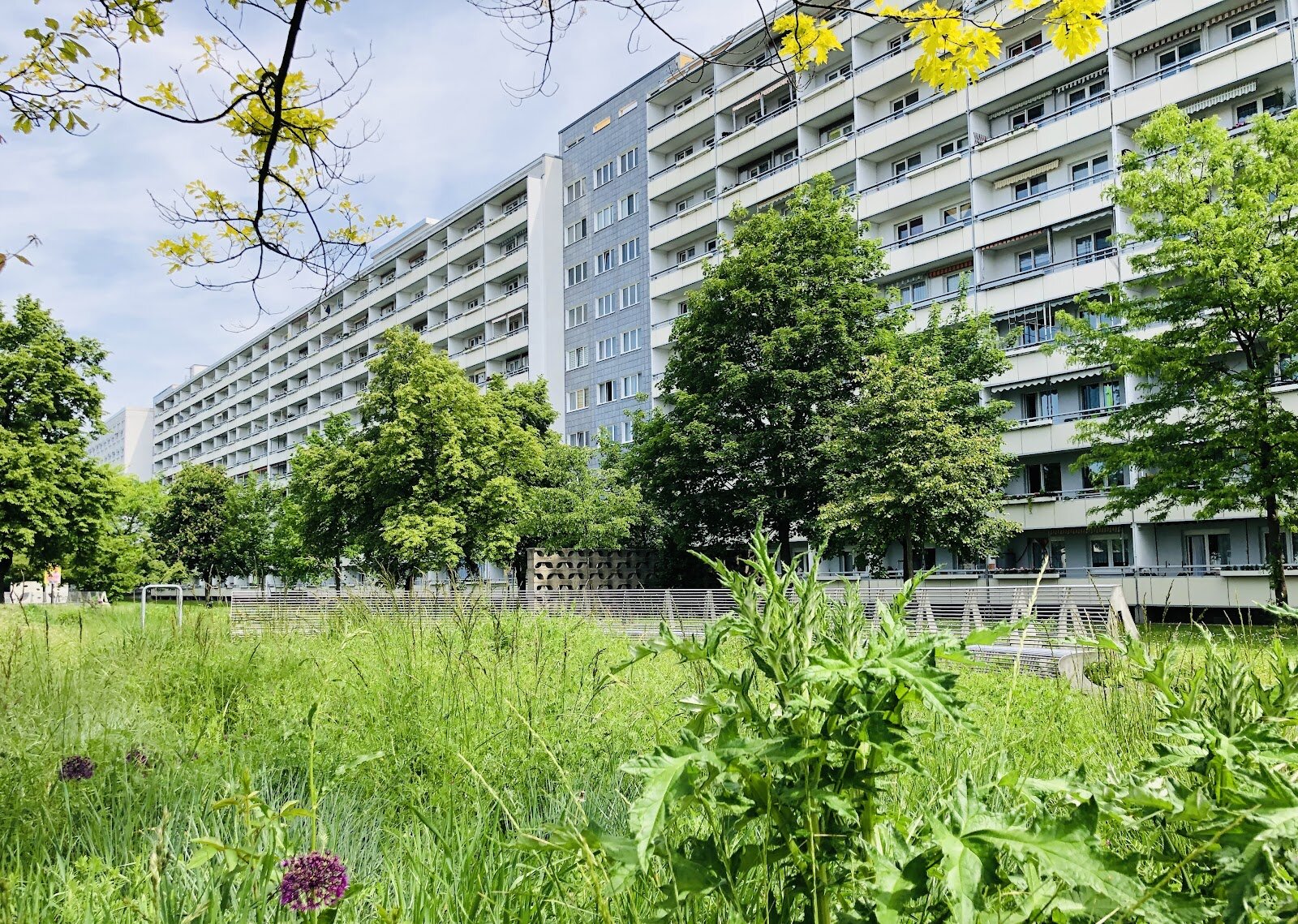 Zerbster Straße 31, 06124 Halle (Saale)