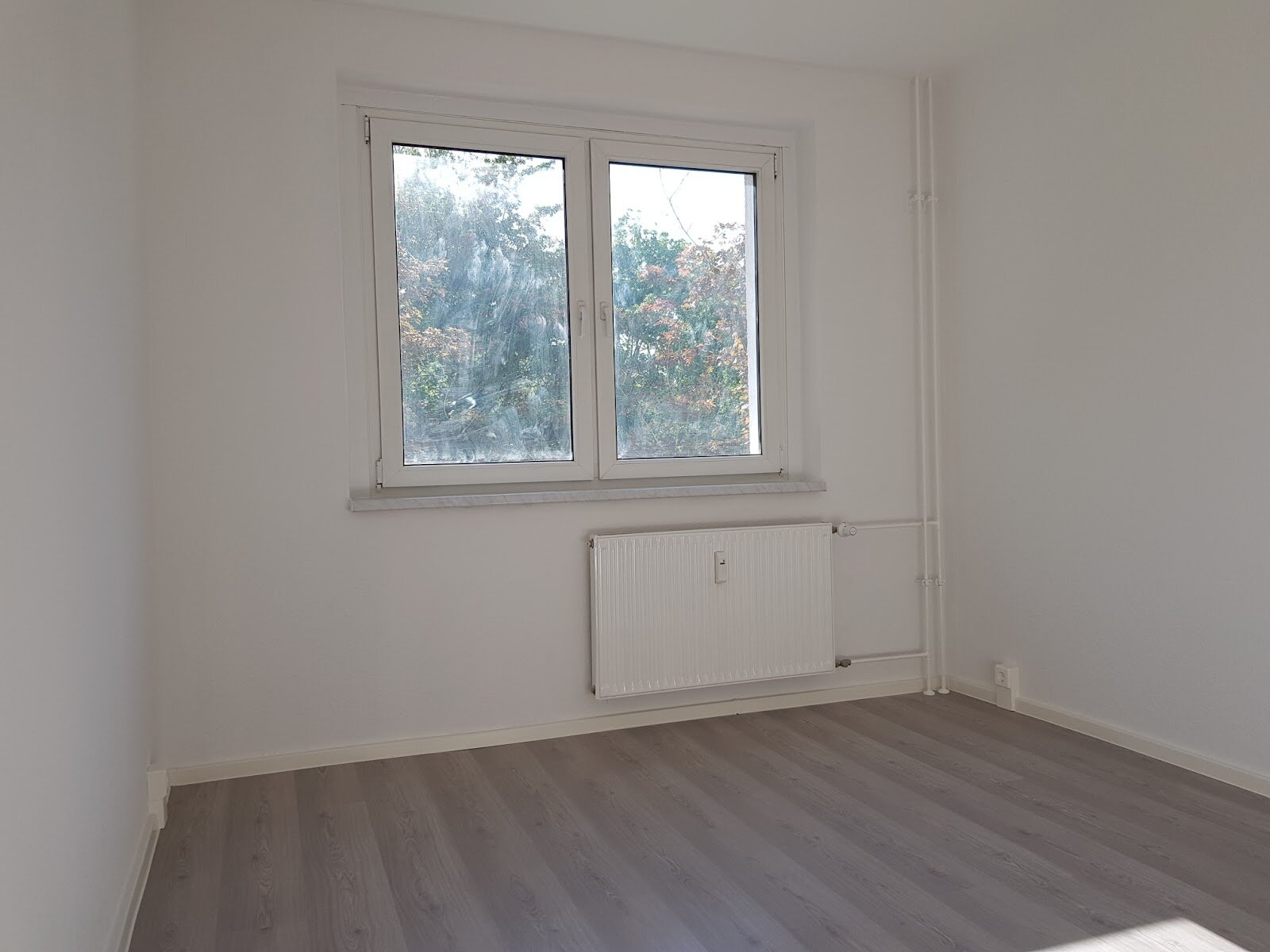 Zerbster Straße 31, 06124 Halle (Saale)