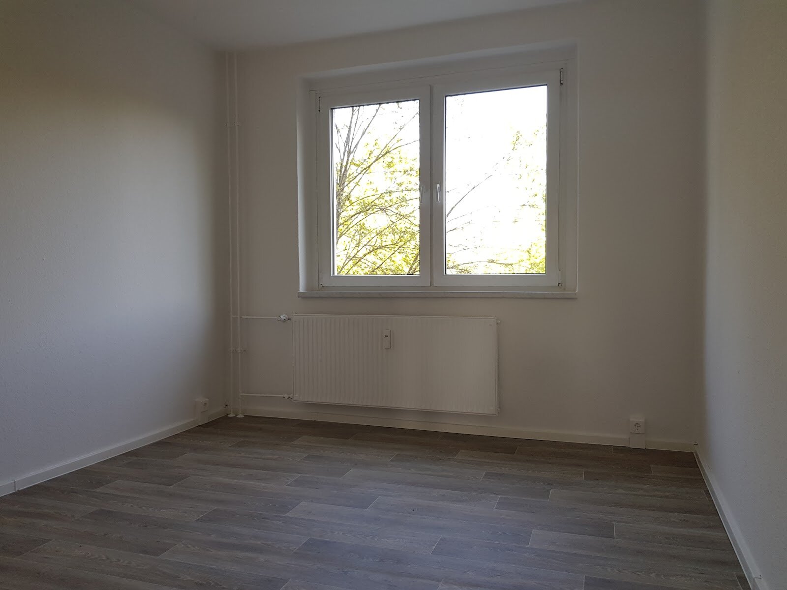 Zerbster Straße 31, 06124 Halle (Saale)