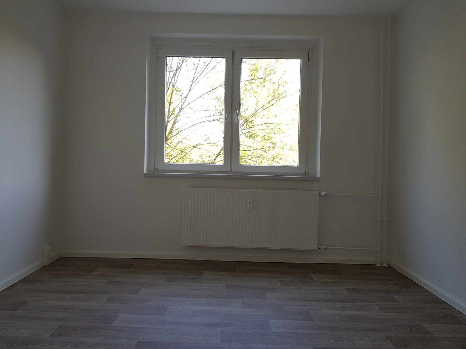 Zerbster Straße 31, 06124 Halle (Saale)