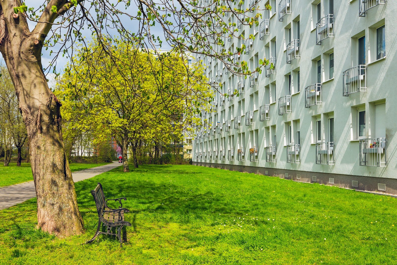 Zerbster Straße 31, 06124 Halle (Saale)