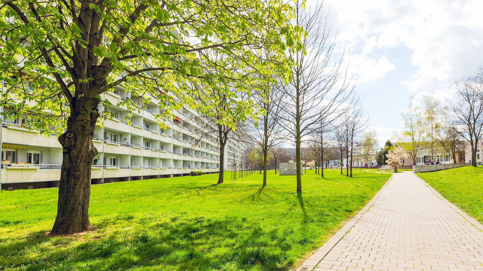 Zerbster Straße 33, 06124 Halle (Saale)