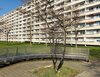 Zerbster Straße 33, 06124 Halle (Saale)