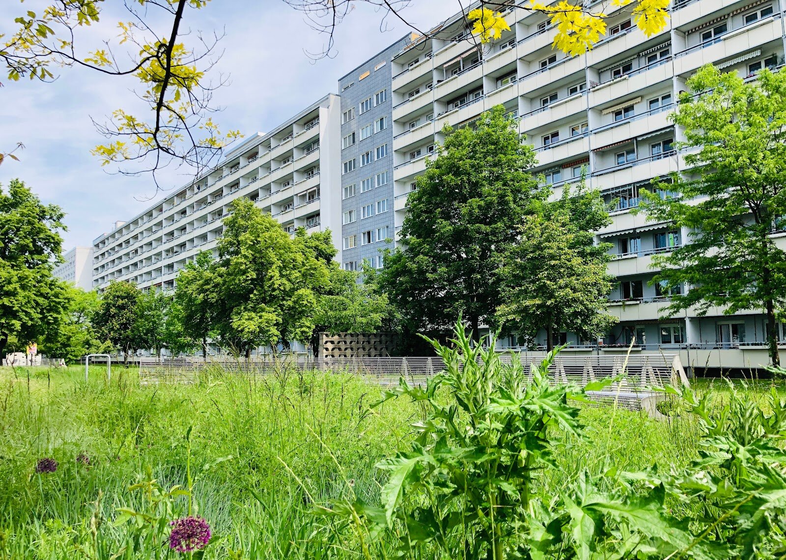 Zerbster Straße 37, 06124 Halle (Saale)