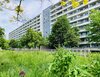 Zerbster Straße 37, 06124 Halle (Saale)