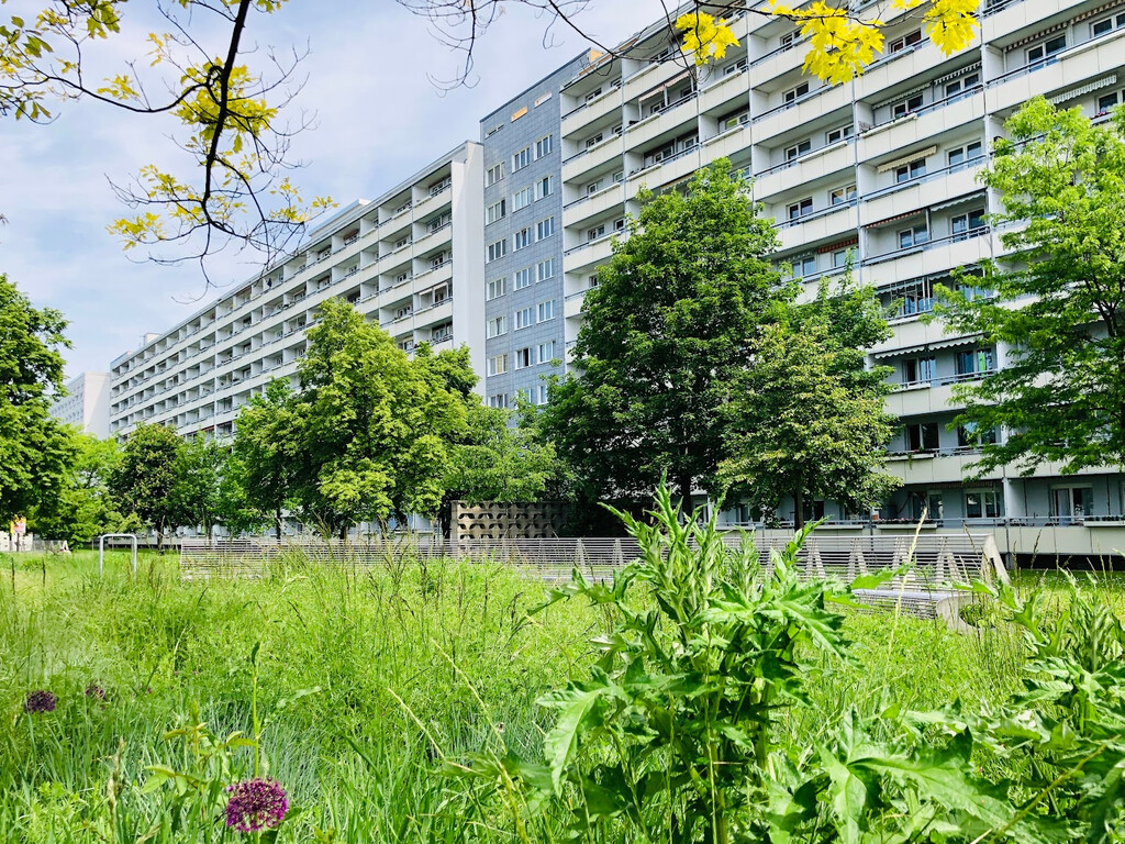 Zerbster Straße 37, 06124 Halle (Saale)