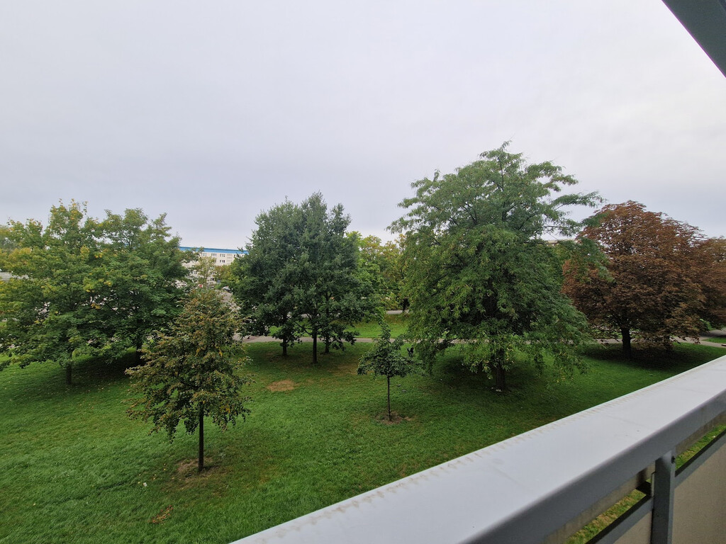 Zerbster Straße 39, 06124 Halle (Saale)