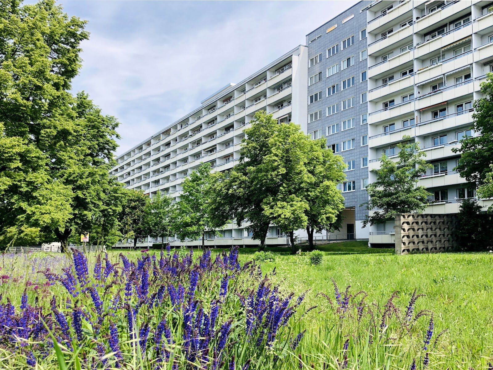 Zerbster Straße 39, 06124 Halle (Saale)