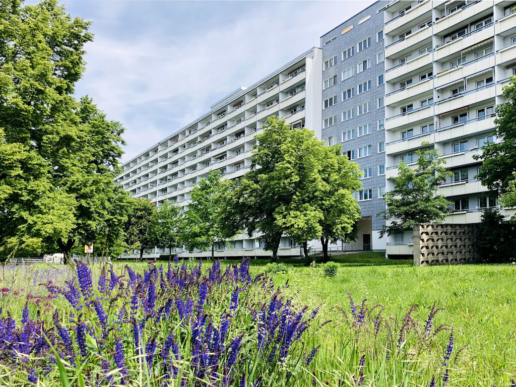 Zerbster Straße 39, 06124 Halle (Saale)