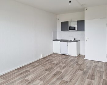 Zerbster Straße 43, 06124 Halle (Saale)