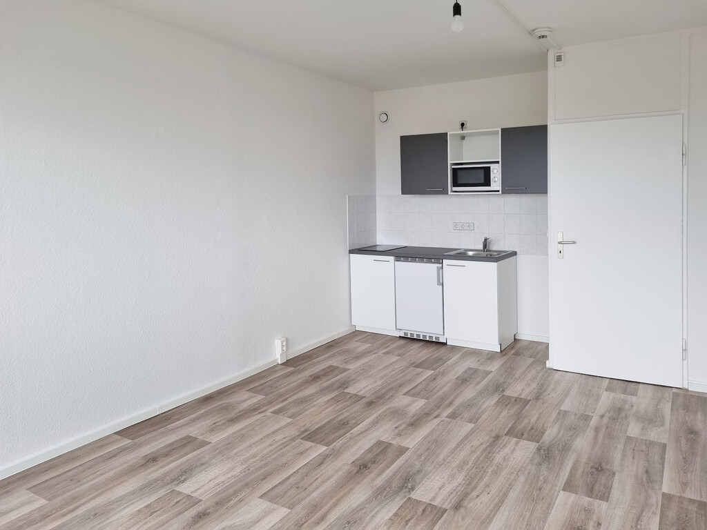 Zerbster Straße 43, 06124 Halle (Saale)