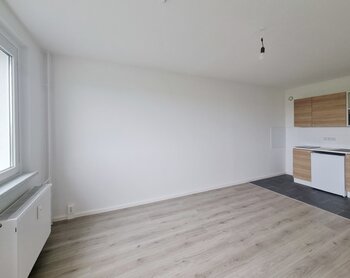 Zerbster Straße 43, 06124 Halle (Saale)