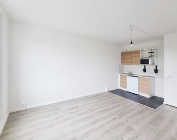 Zerbster Straße 43, 06124 Halle (Saale)