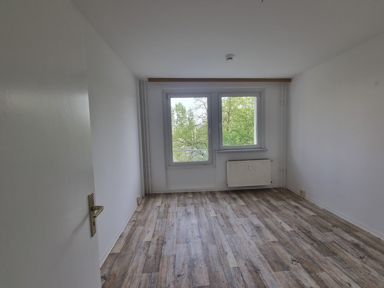 Zerbster Straße 43, 06124 Halle (Saale)