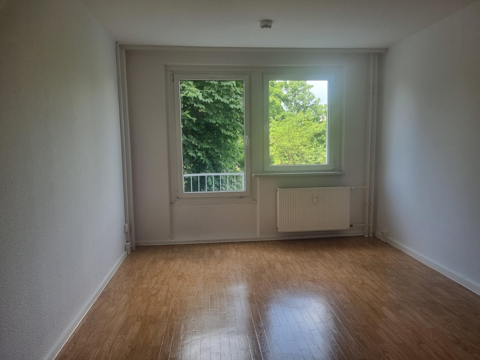 Zerbster Straße 43, 06124 Halle (Saale)