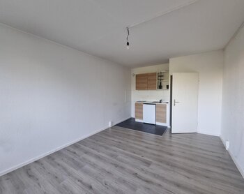 Zerbster Straße 43, 06124 Halle (Saale)
