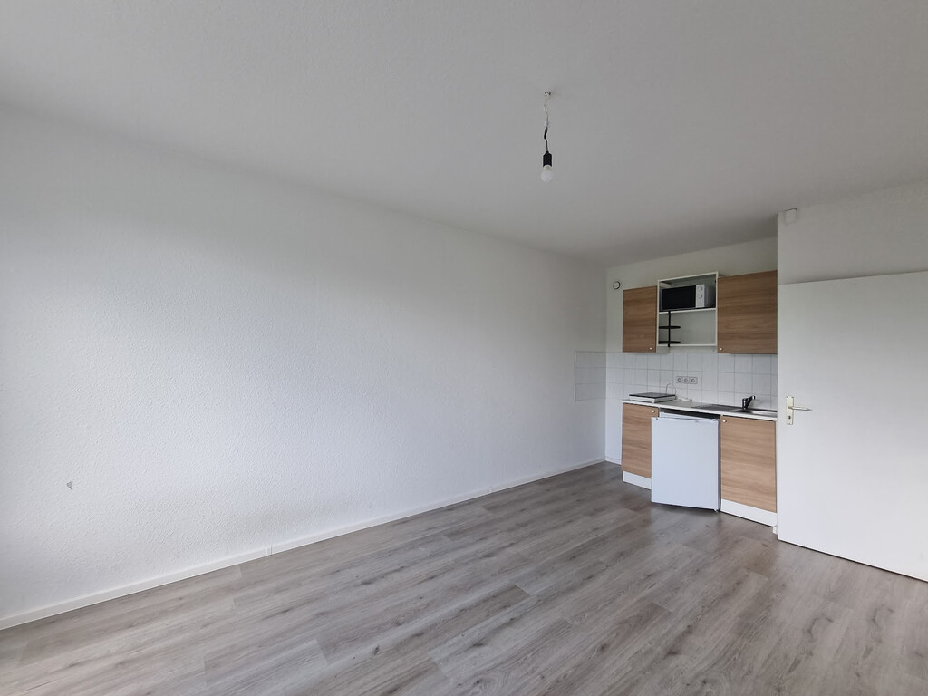Zerbster Straße 43, 06124 Halle (Saale)