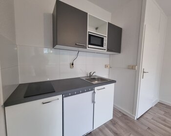 Zerbster Straße 43, 06124 Halle (Saale)