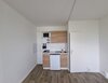 Zerbster Straße 43, 06124 Halle (Saale)
