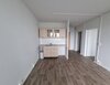 Zerbster Straße 43, 06124 Halle (Saale)