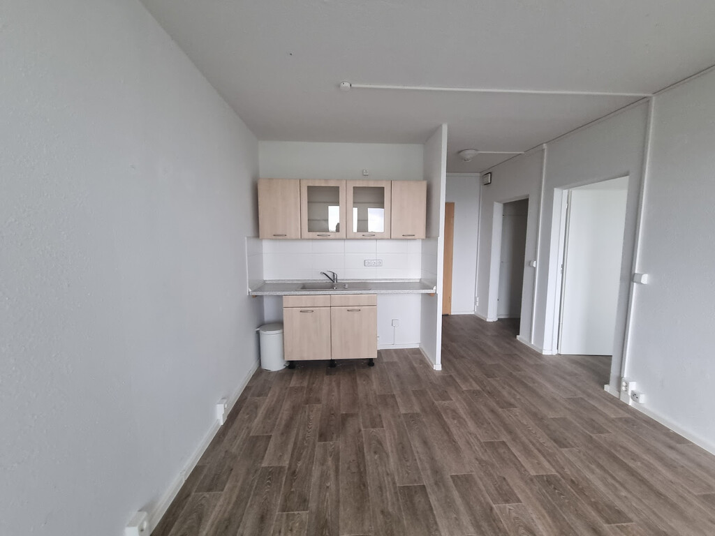 Zerbster Straße 43, 06124 Halle (Saale)