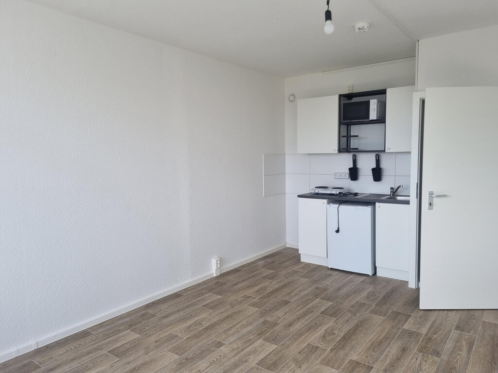 Zerbster Straße 43, 06124 Halle (Saale)