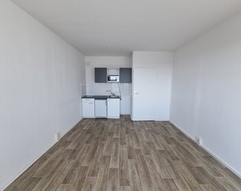 Zerbster Straße 43, 06124 Halle (Saale)