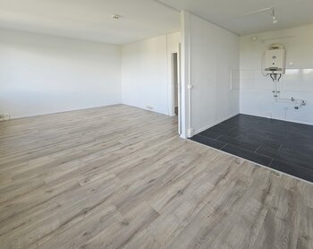 Richard-Paulick-Straße 1, 06124 Halle (Saale)
