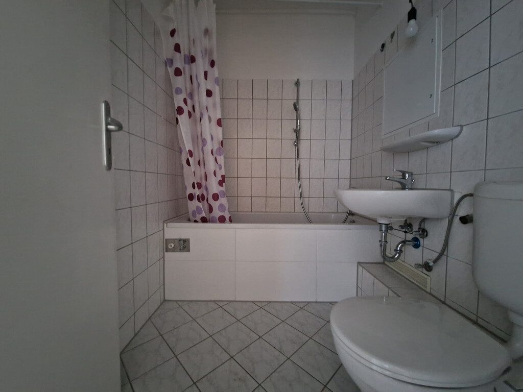 Richard-Paulick-Straße 9, 06124 Halle (Saale)