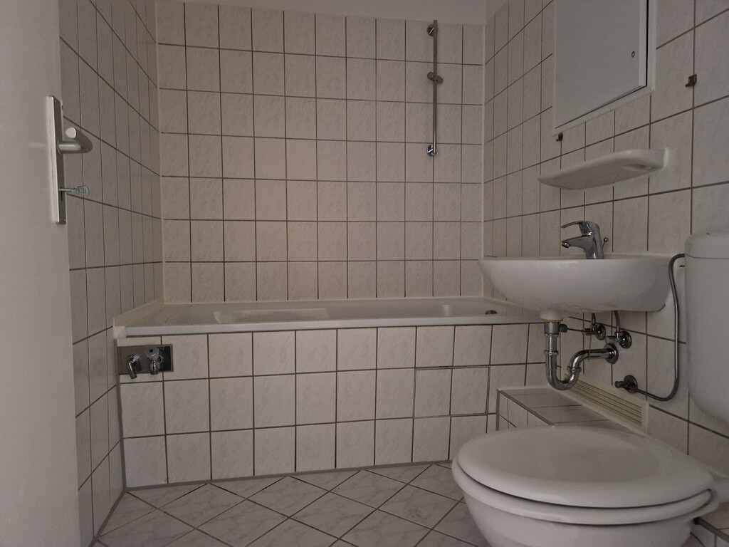 Richard-Paulick-Straße 11, 06124 Halle (Saale)