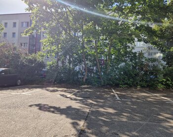 Richard-Paulick-Straße 5-12, 06124 Halle (Saale)