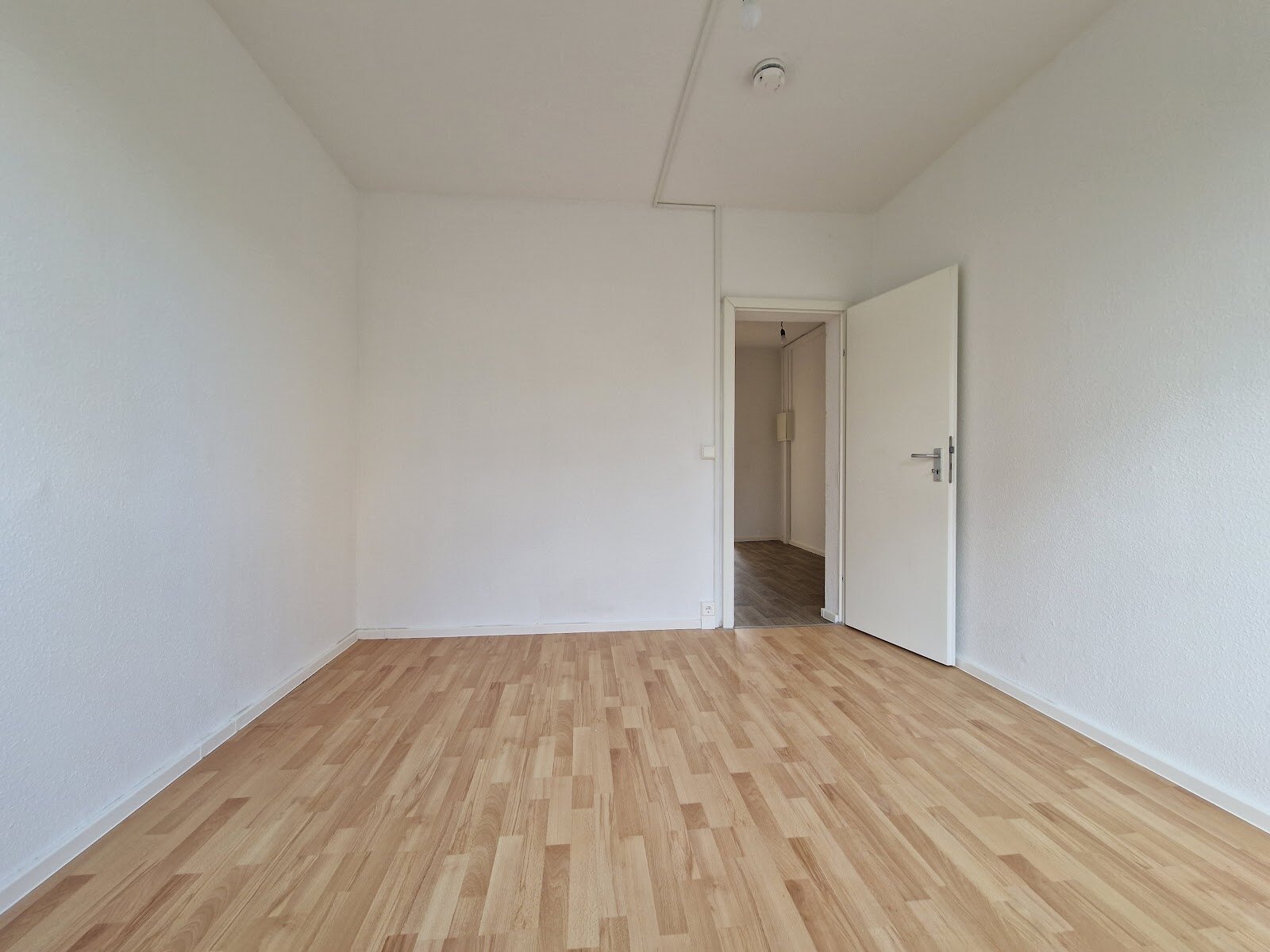 Carl-Schorlemmer-Ring 26, 06122 Halle (Saale)