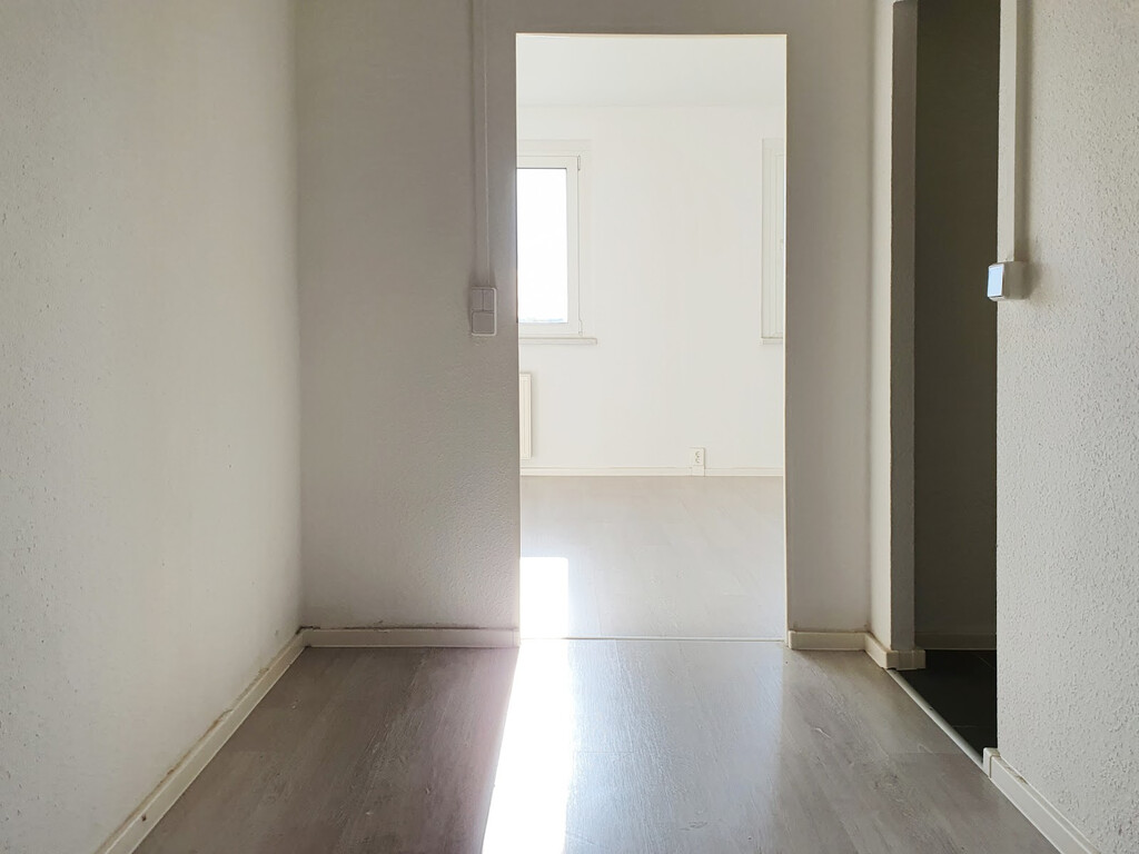 Carl-Schorlemmer-Ring 26, 06122 Halle (Saale)