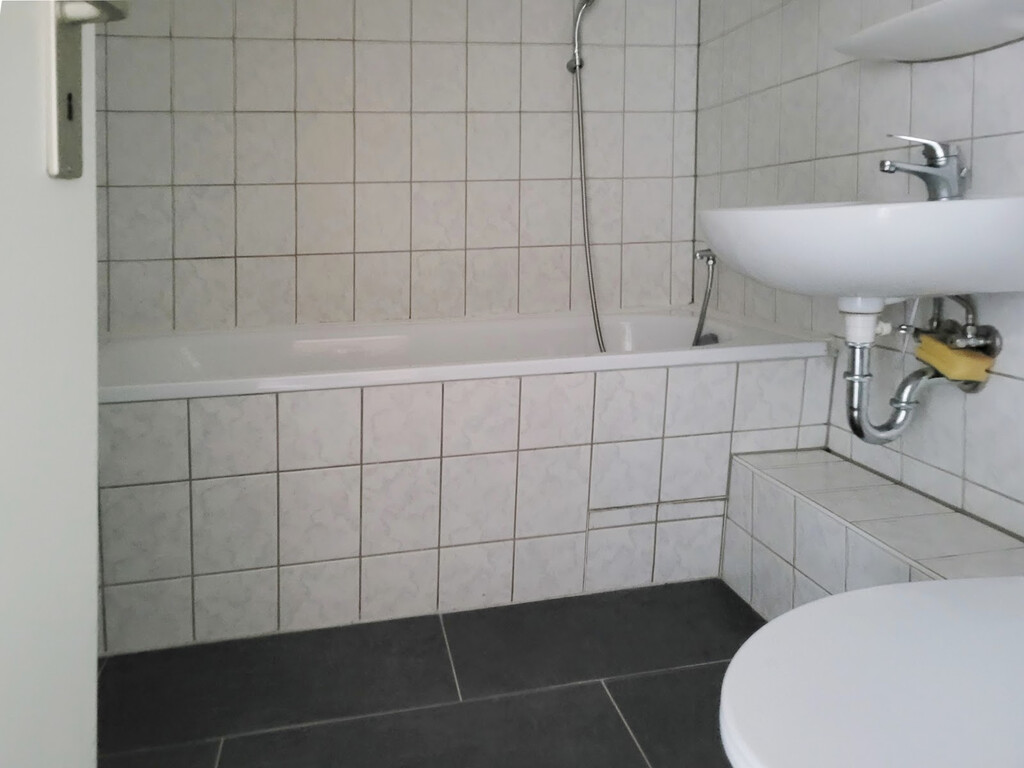 Carl-Schorlemmer-Ring 26, 06122 Halle (Saale)