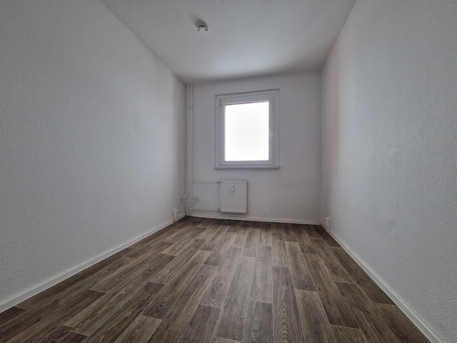 Carl-Schorlemmer-Ring 28, 06122 Halle (Saale)
