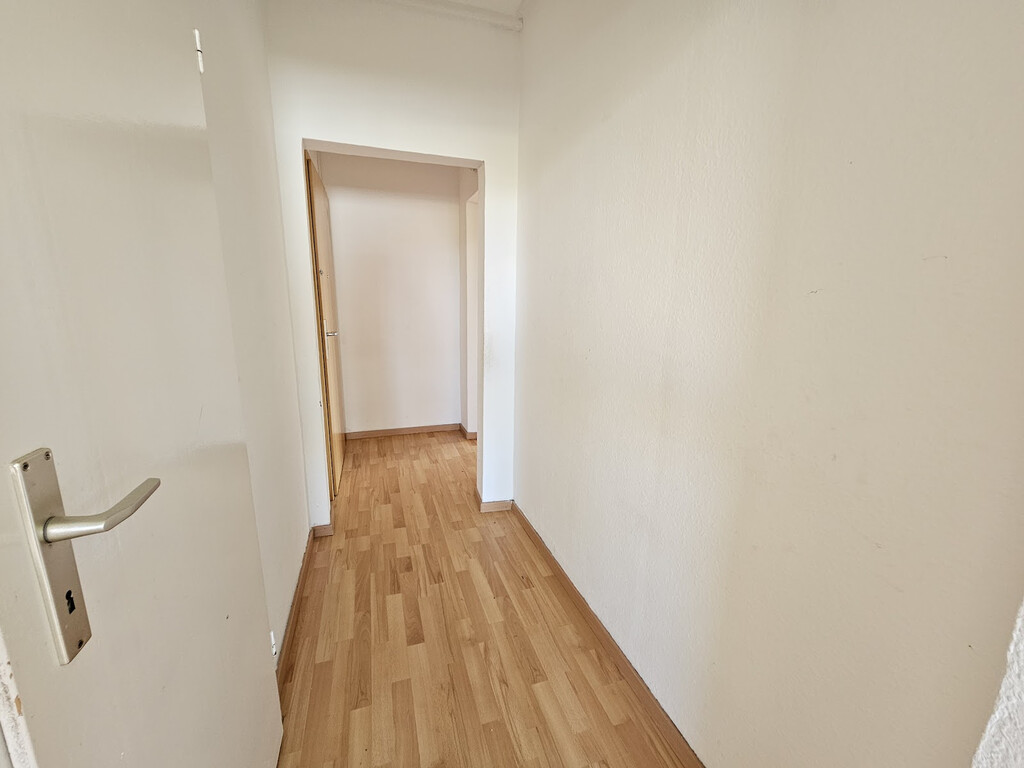 Bodestraße 7, 06122 Halle (Saale)