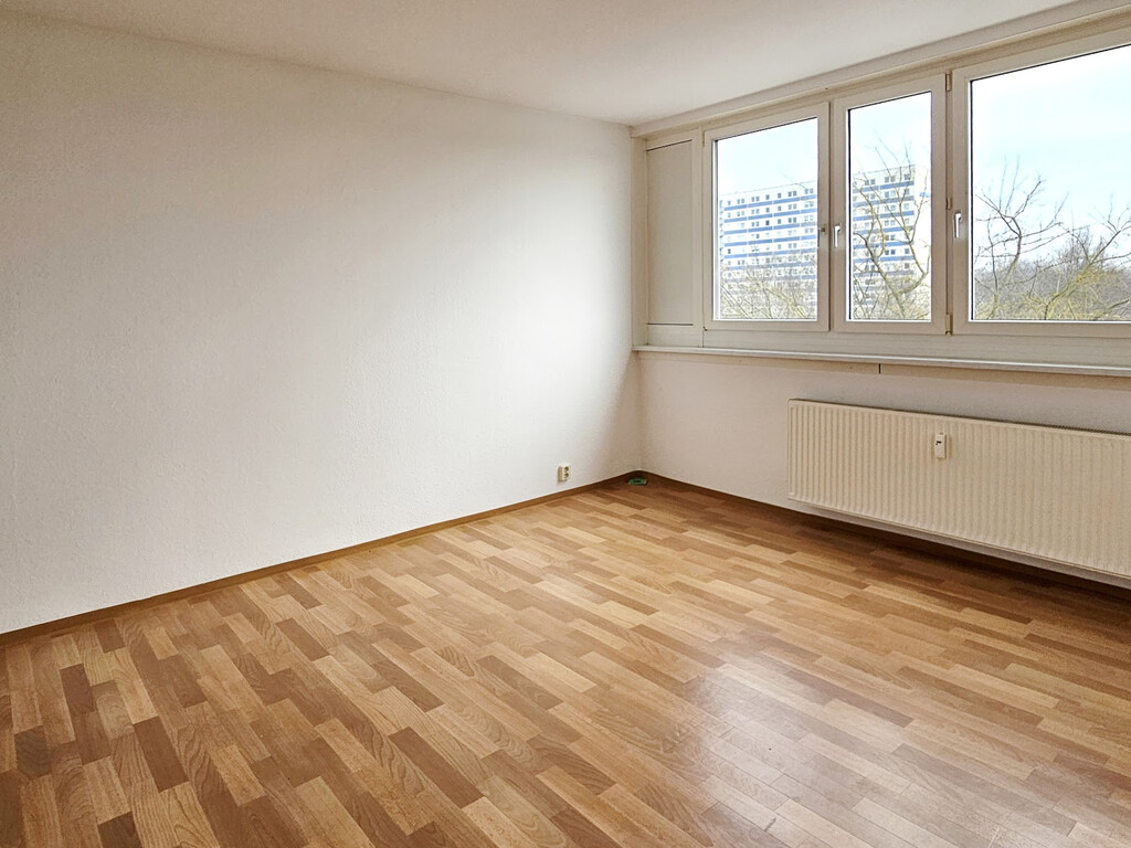 Bodestraße 7, 06122 Halle (Saale)