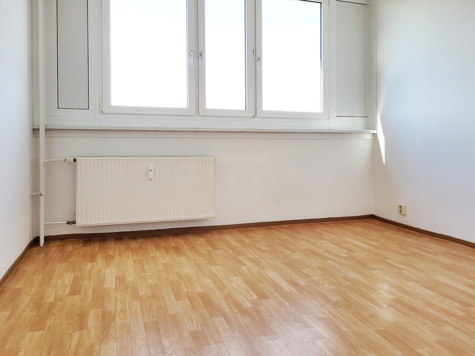 Bodestraße 7, 06122 Halle (Saale)